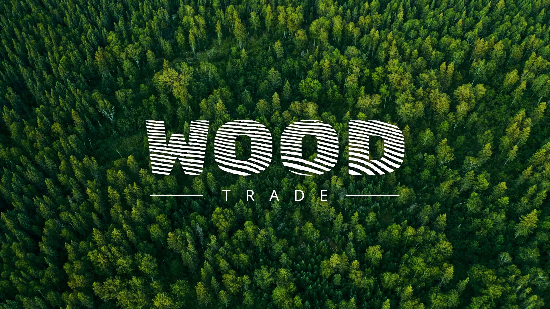 Разработка интернет-магазина компании «Wood Trade» в Называевске